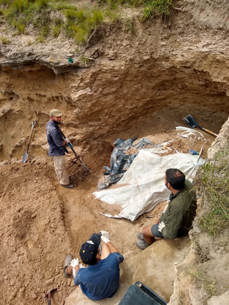 Hallaron un gliptodonte en el Salto de Piedra